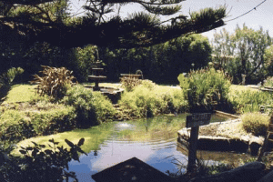 Bayside Gardens - Accommodation Perth