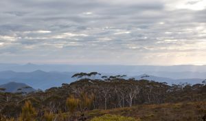 Mount Budawang trail - Accommodation Perth