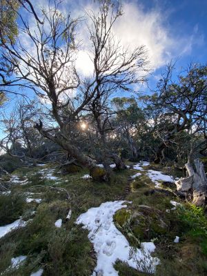 Mount Torbreck Summit Walk - Accommodation Perth